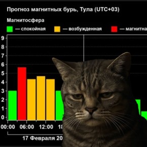 ������ ������� � ������� �������� ������� ������� ��������� ����