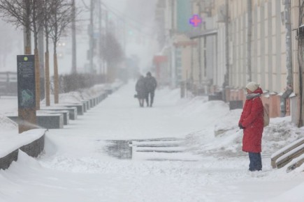 Туляки, готовимся: завтра регион накроет очень сильная метель