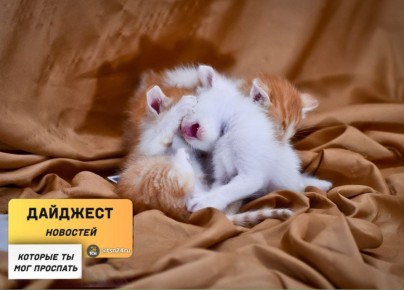 Рассказываем о новостях, которые вы могли пропустить вчера