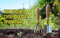 Тайны суперфосфата: три ошибки, о которых должны знать садоводы