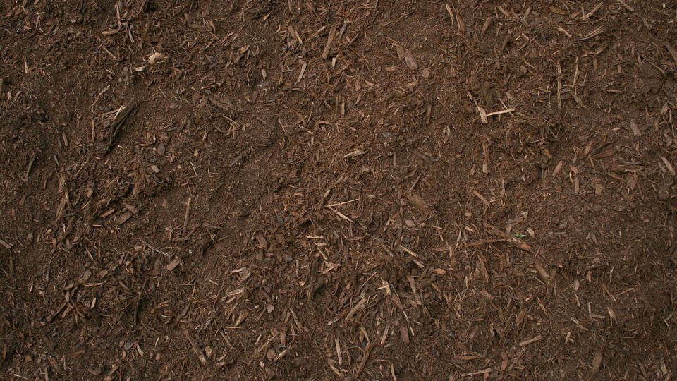 ������ �����: ���� � ��������� ������� ���������