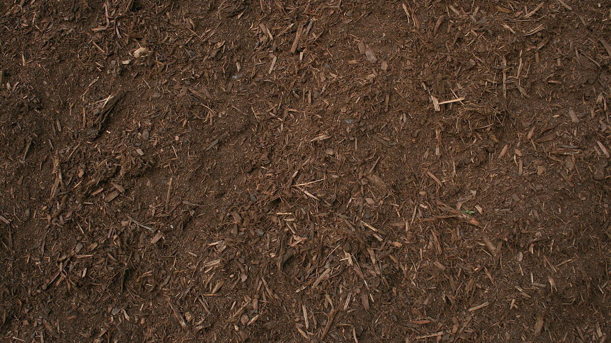 Иловая земля: ключ к успешному дачному хозяйству