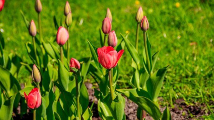 ��������: �������� ��������� ��� ������ ��������