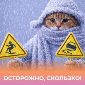 Что лёд грядущий нам готовит?