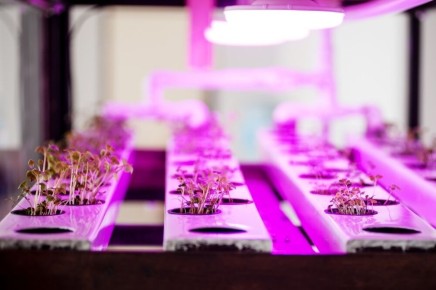 ��� ���������� ��������� �������� ������ ����� ����� ��������