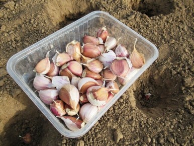 ���������� ������ ��� ������ ������� �������: ������ �����������