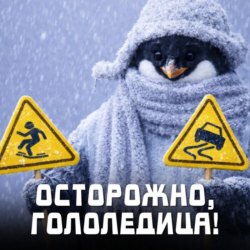 ���������, ������� ����� � ����������: ���������� ������� ������������