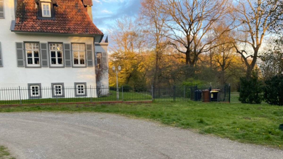 Почему немцы оставляют деньги рядом с мусором: удивительная практика в Германии