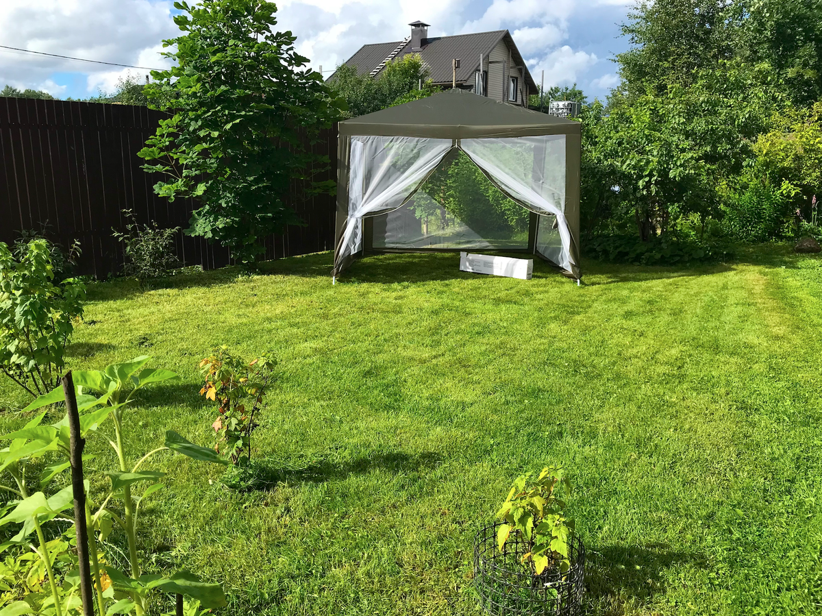 Как прошел юбилей на свежем воздухе и что испортила погода