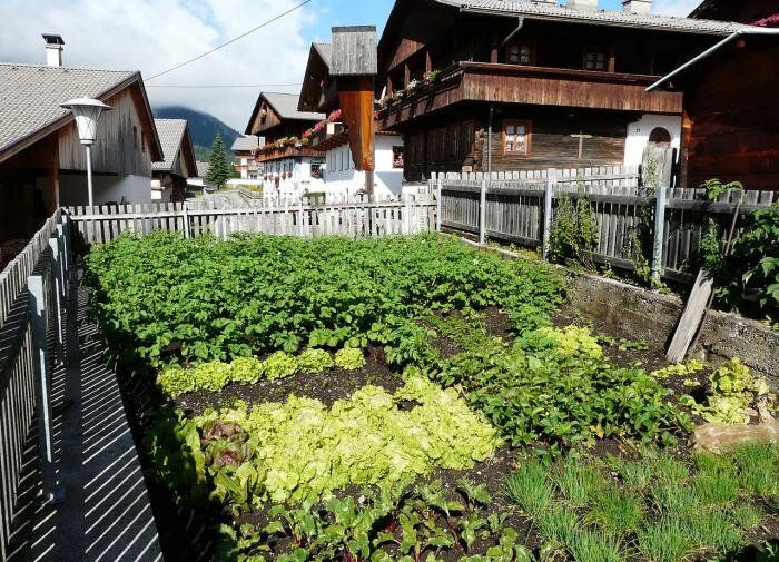 Как подготовить дачу к новому сезону: простые шаги для уборки