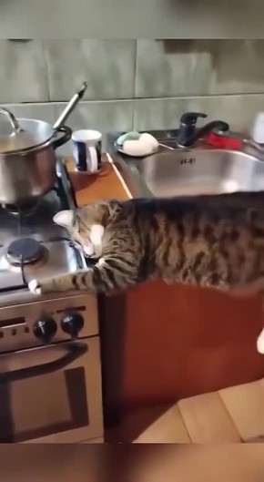 �������� ���� � �������� ������ �������