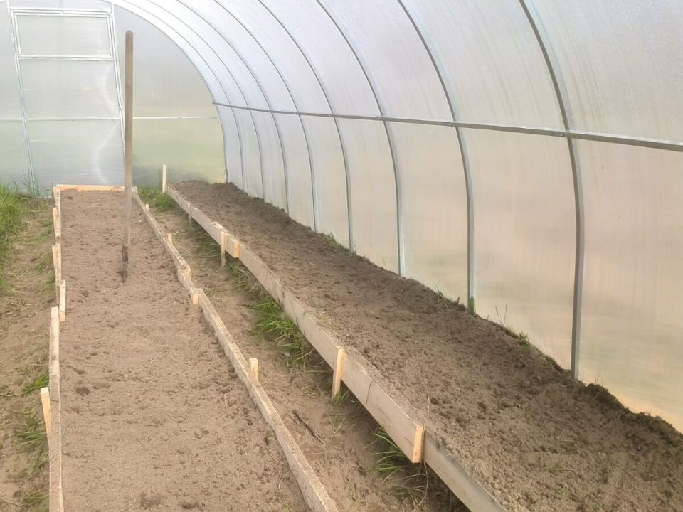 ��� ����� ������� �� ���� ������: �������� ������