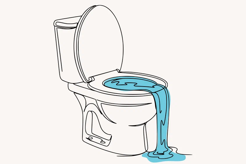 Как устранить засор в унитазе без привлечения специалистов