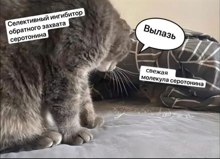 Россиянам хотят выдавать антидепрессанты бесплатно по ОМС