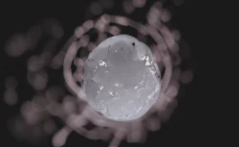 ��� ������������� ������������ ������� ������ ����������� �������� �� ����������