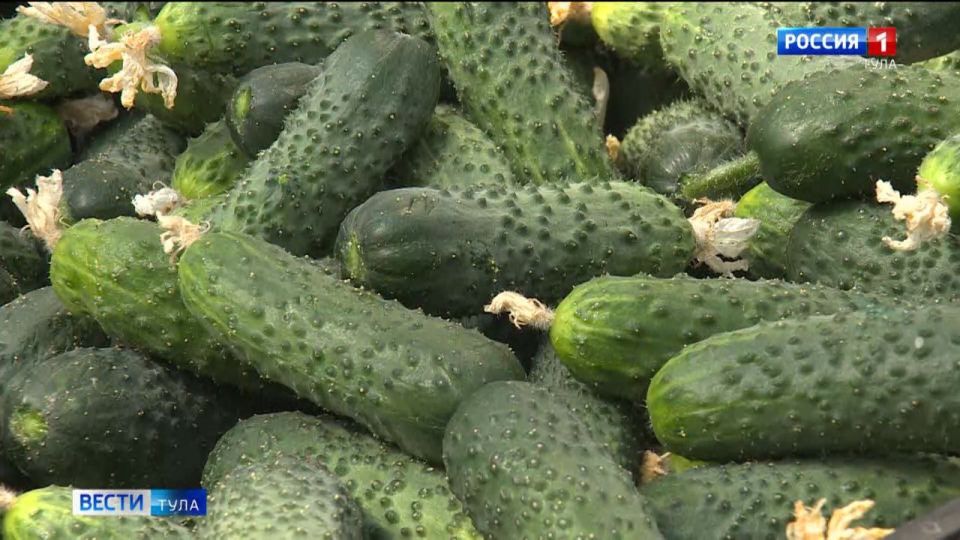 ���� �� ������ � ��� ��������� �������� � �������� �������