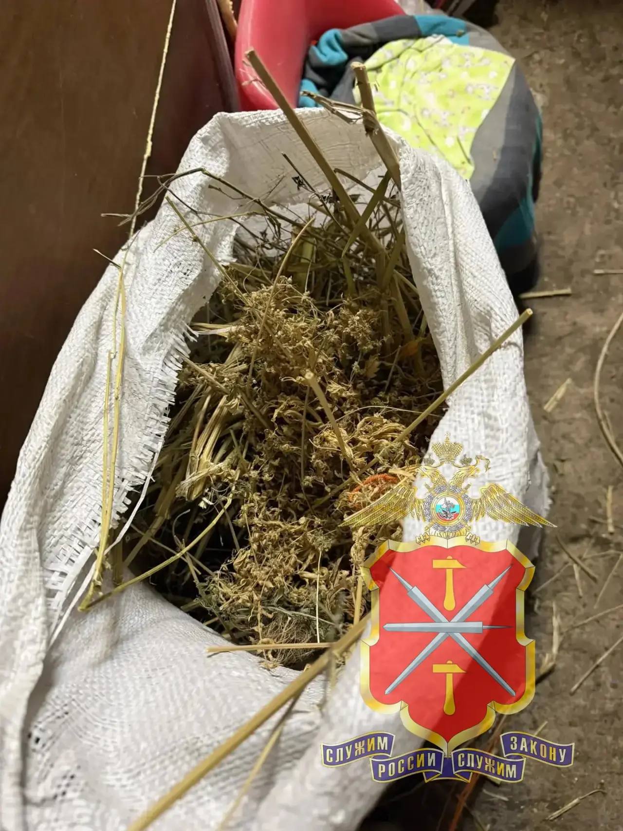 В Кимовском районе полицейскими задержан «растениевод-гурман», готовивший из марихуаны «кашу» и «сгущенное молоко» В Кимовском районе полицейскими задержан «растениевод-гурман», готовивший из марихуаны «кашу» и «сгущенное молоко»