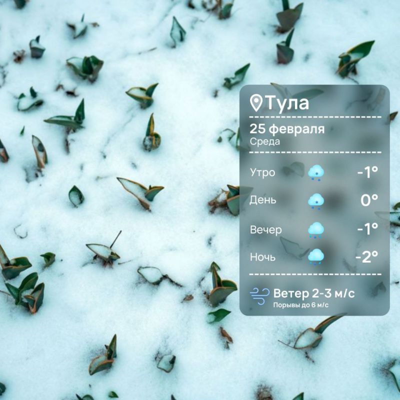 ������ ����. ���� ����� � ��������� ����������!