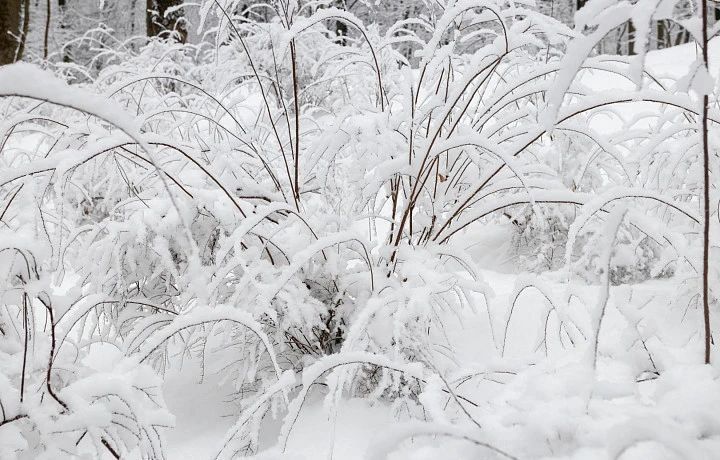 ������ �� 25 �������. ����� ��������: 07:28