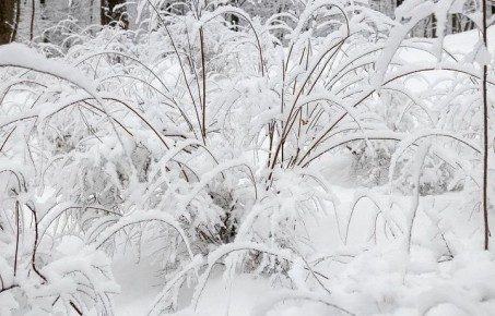 ������ �� 25 �������. ����� ��������: 07:28