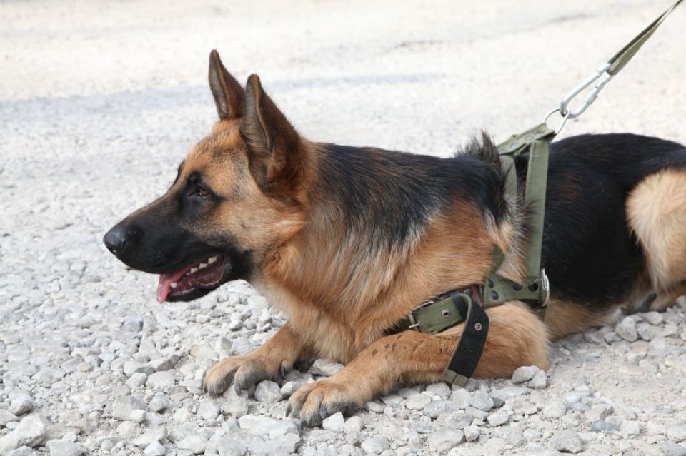 ��������� ������ ������� �������� ������� �������� 121 ������������