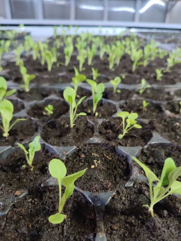 � � ����� ��������� � ����� �������, ����� �������� ������ ��������� �������, � ������� ��� ����� �����