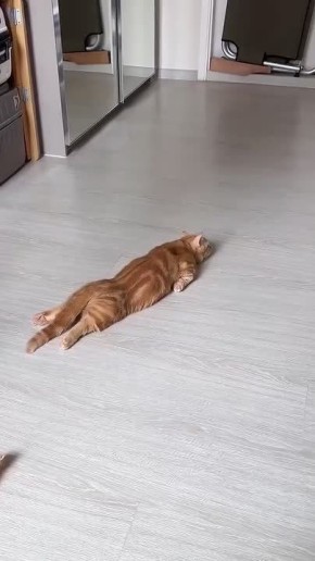 ����� ��������� �������� �� ������ ��������, ����� ������ ���������� �� ������