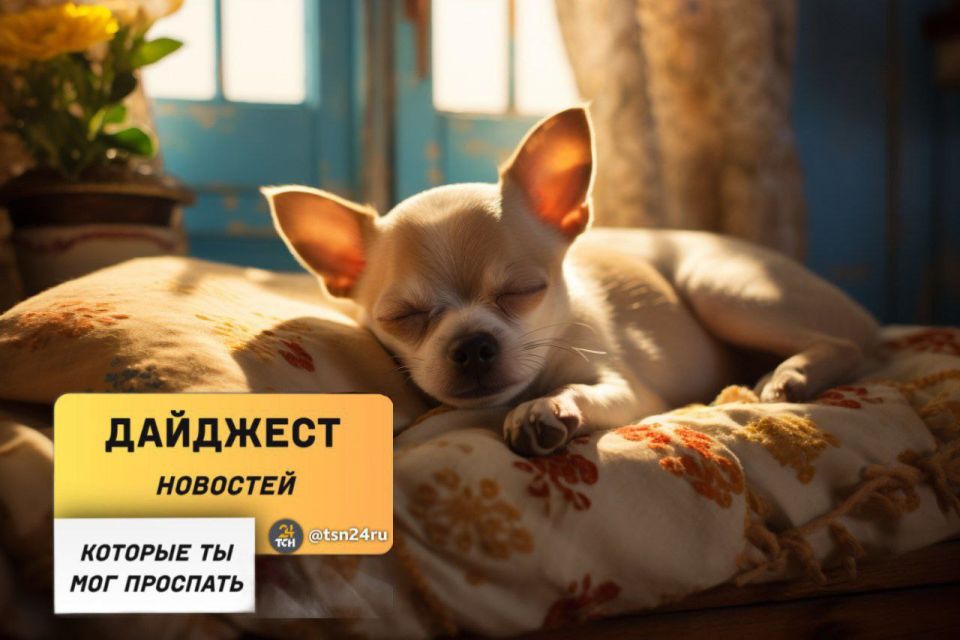 ������������ � ��������, ������� �� ����� ���������� �����