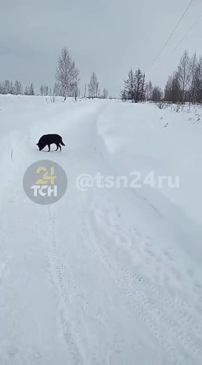 ������ ������� �������� �������� �� ������ �����