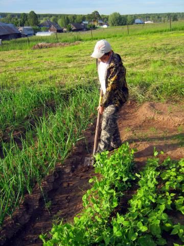 ������ � �������� �������: �������� ������ ��� ��������� ������