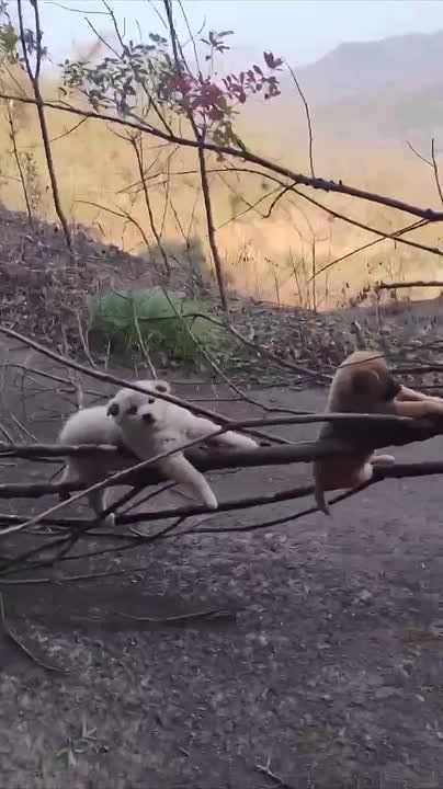 ������ ����� ������ ��� �����, �� ��� ��������� ��� ��� �����������