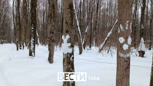 А вы заметили, что зима вс?