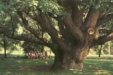 ������� ������: ��������� ������ ���� � ������������