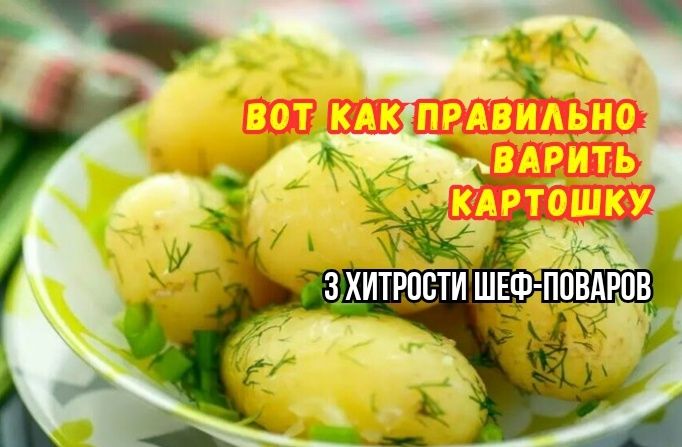 ��� ��������� ������ ��������: ��� ������ � ������ ���-�������