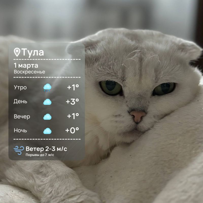 Доброе утро. Вот и весна наступила!