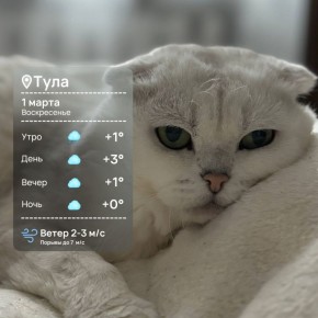 ������ ����. ��� � ����� ���������!