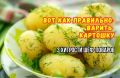 Как правильно варить картошку: три ошибки и советы шеф-поваров
