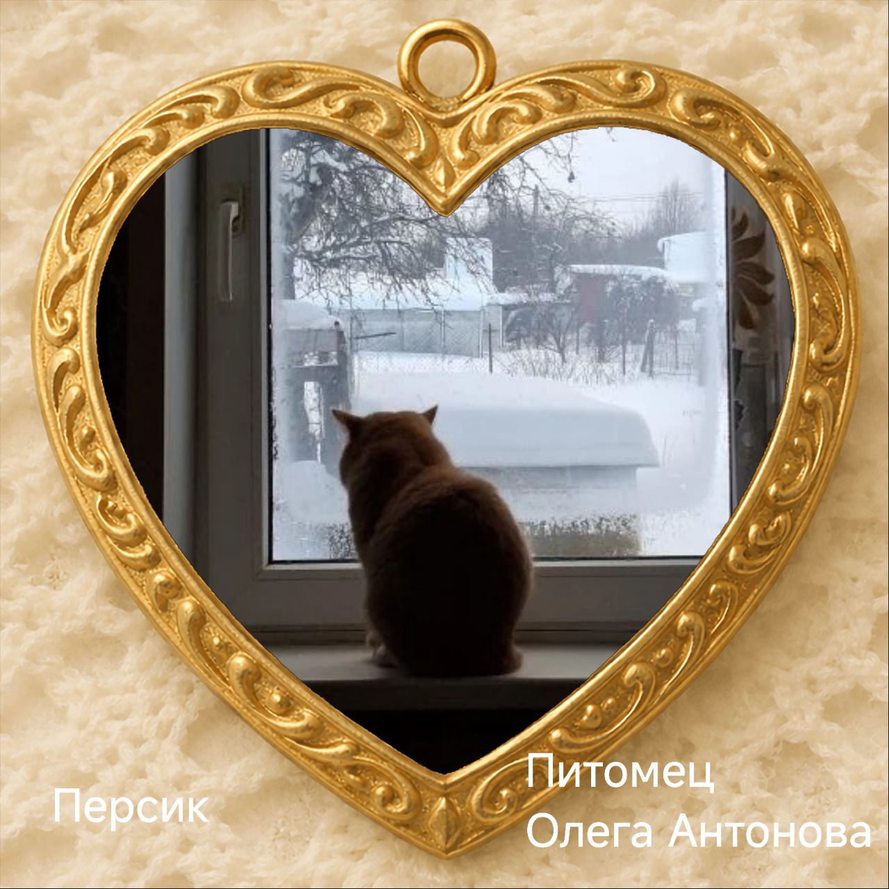 С приходом весны, 1 марта, в нашей стране наступает особый день — День кошек! Праздник существует с 2004 года, и по традиции мы поздравляем с ним главных обладателей мягких лапок С приходом весны, 1 марта, в нашей стране наступает особый день — День кошек! Праздник существует с 2004 года, и по традиции мы поздравляем с ним главных обладателей мягких лапок