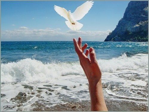 Гармония личности: что это значит и как её достичь?