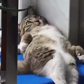 Текущее состояние на первый день весны