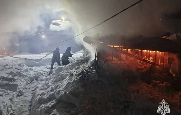 За прошедшие сутки в Тульской области потушили пять пожаров