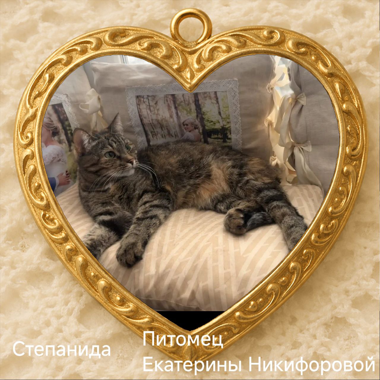 С приходом весны, 1 марта, в нашей стране наступает особый день — День кошек! Праздник существует с 2004 года, и по традиции мы поздравляем с ним главных обладателей мягких лапок С приходом весны, 1 марта, в нашей стране наступает особый день — День кошек! Праздник существует с 2004 года, и по традиции мы поздравляем с ним главных обладателей мягких лапок