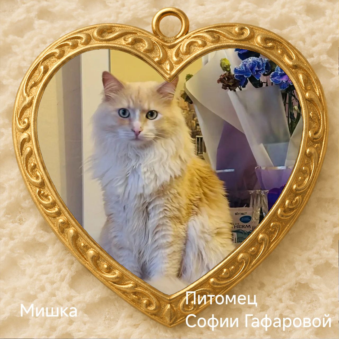 С приходом весны, 1 марта, в нашей стране наступает особый день — День кошек! Праздник существует с 2004 года, и по традиции мы поздравляем с ним главных обладателей мягких лапок С приходом весны, 1 марта, в нашей стране наступает особый день — День кошек! Праздник существует с 2004 года, и по традиции мы поздравляем с ним главных обладателей мягких лапок