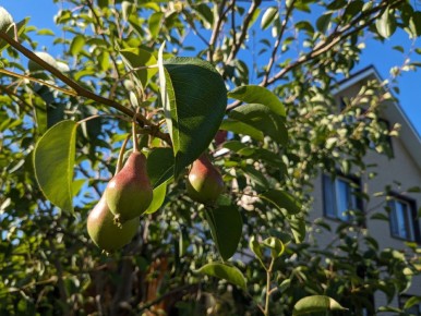 ���� � ���: ����������� ������� �� ����� �������