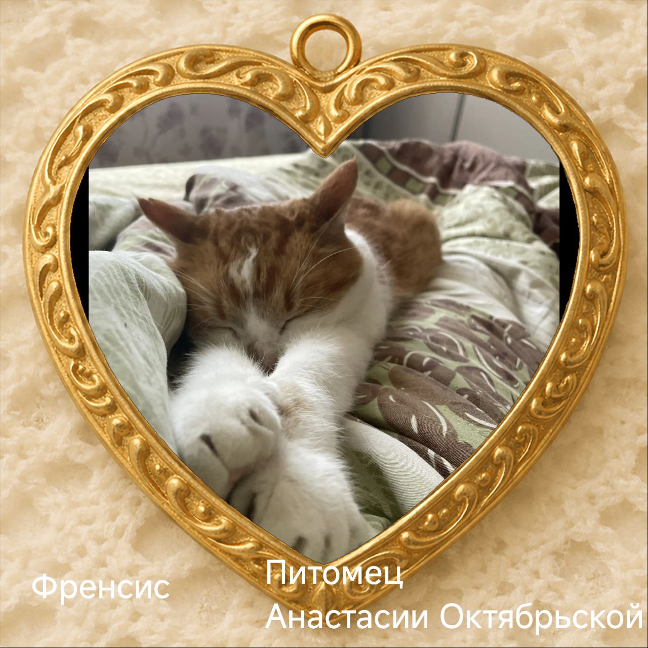 С приходом весны, 1 марта, в нашей стране наступает особый день — День кошек! Праздник существует с 2004 года, и по традиции мы поздравляем с ним главных обладателей мягких лапок С приходом весны, 1 марта, в нашей стране наступает особый день — День кошек! Праздник существует с 2004 года, и по традиции мы поздравляем с ним главных обладателей мягких лапок