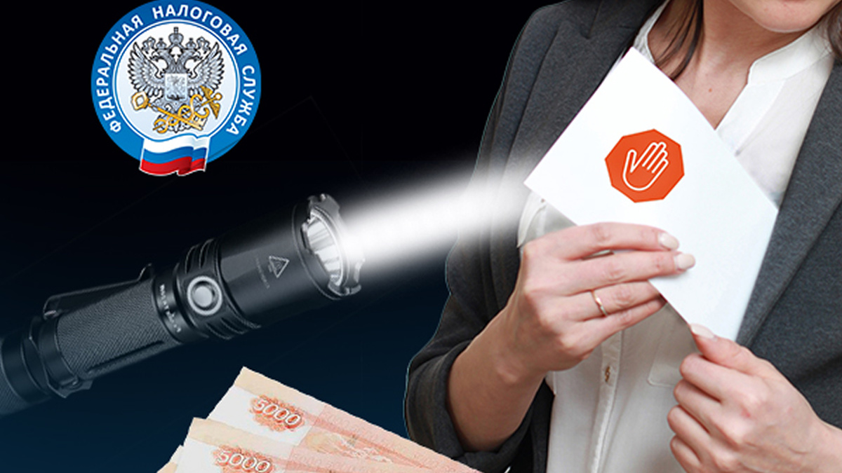 Теневые доходы под прицелом: как налоговая проверка меняет финансовый ландшафт