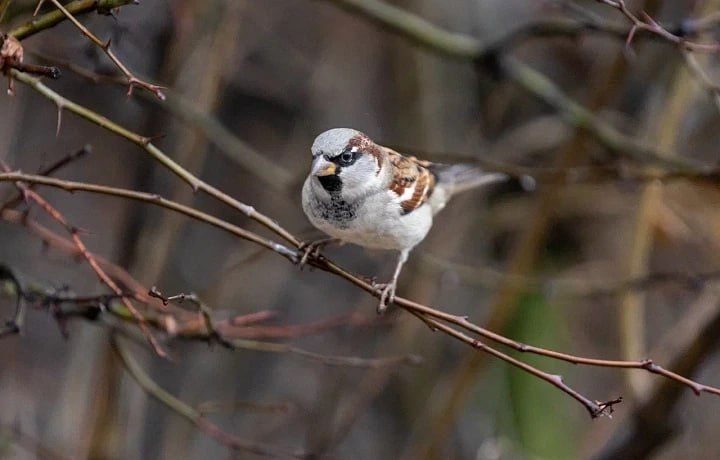 Погода на 2 марта. Время рассвета: 07:16