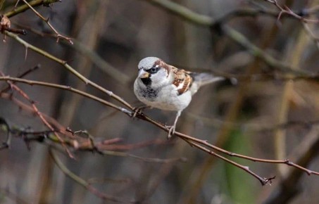 ������ �� 2 �����. ����� ��������: 07:16