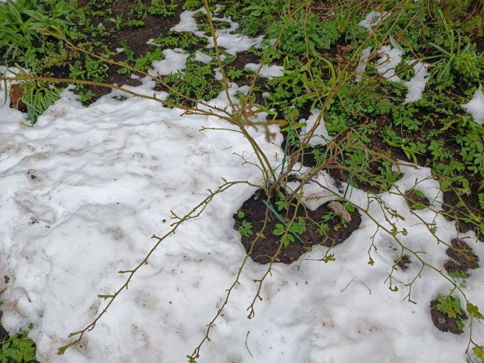 15 ��� �� ���� � ���: ��� ���������� � ���������� ������ � �������� ������