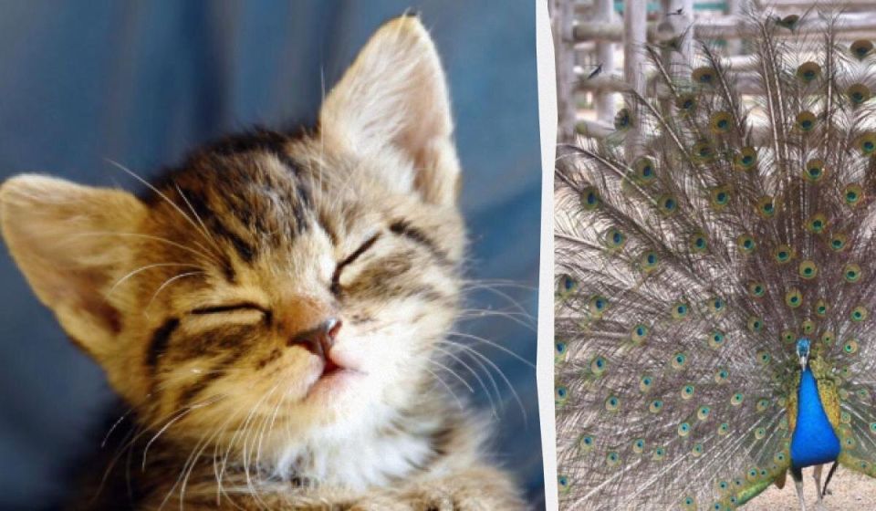 ����� ������� �� 10 ������: ����� ��� ��� ����� �������� ������